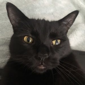 Meet your Posher, Nicole